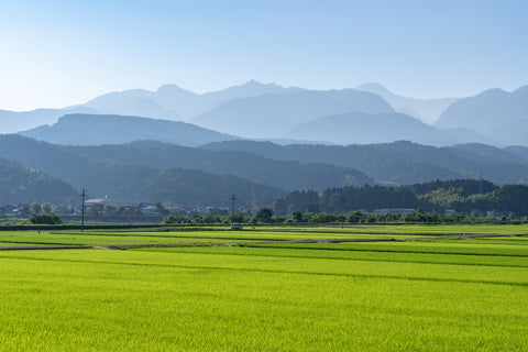 Tsubame-Sanjo in Niigata prefecture