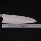 Deba All-Stainless Pure-Molybdenum 210mm-Molybdenum-Polished-Western Handle-[Musashi]-[Japanese-Kitchen-Knives]