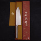 Deba All-Stainless Pure-Molybdenum 210mm-Molybdenum-Polished-Western Handle-[Musashi]-[Japanese-Kitchen-Knives]