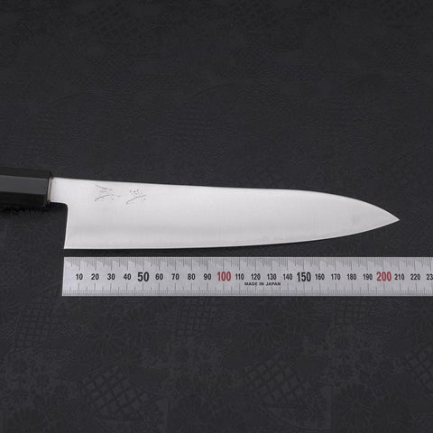 Gyuto ZDP-189 Polished Buffalo Chestnuts Handle 210mm-Polished-ZDP-189-Japanese Handle-[Musashi]-[Japanese-Kitchen-Knives]