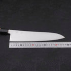 Gyuto ZDP-189 Polished Buffalo Chestnuts Handle 240mm-Polished-ZDP-189-Japanese Handle-[Musashi]-[Japanese-Kitchen-Knives]