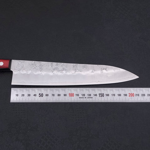 Gyuto Silver Steel #3 Nashiji Western Red Handle 210mm