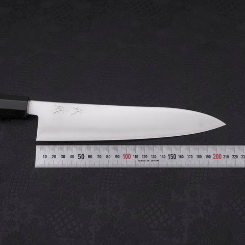 Gyuto ZDP-189 Polished Buffalo Chestnuts Handle 210mm