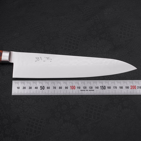 Gyuto knife VG-5 Tsuchime Western Handle 210mm