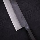 Kiritsuke Blue steel #2 Kurouchi Damascus Buffalo Ebony Handle 240mm-Blue steel #2-Damascus-Japanese Handle-[Musashi]-[Japanese-Kitchen-Knives]