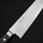 Kiritsuke Gyuto VG-10 Damascus Black Marble Handle 210mm-VG-10-Damascus-Western Handle-[Musashi]-[Japanese-Kitchen-Knives]