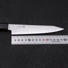 Kiritsuke Petty VG-10 Damascus Black Ishime Handle 150mm-Damascus-VG-10-Japanese Handle-[Musashi]-[Japanese-Kitchen-Knives]